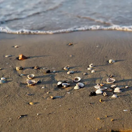 Family With Fenced Garden In Lido Dei Pini