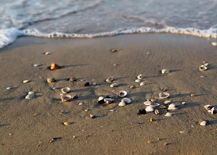 Family With Fenced Garden In Lido Dei Pini